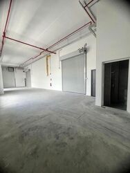Ct Foodnex (D25), Factory #625891591